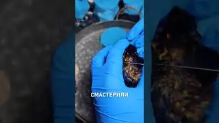 А ты хотел бы такой себе?