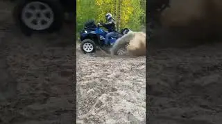 Пятничные покатушки