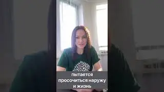 Метод Легализации правды