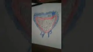 хуги вуги номер 2