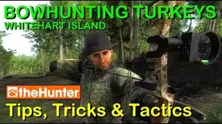 BOW HUNTING TURKEYS (Tips, Tricks & Tactics) - theHunter Classic