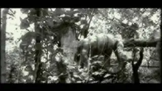 Vadya Bo - Нокиа