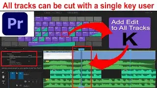 All Tracks can be cut with a single key user - Adobe Premiere Pro CC 2023