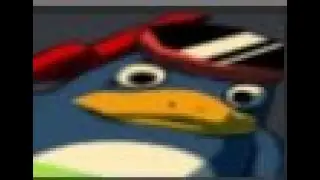 mfw polo
