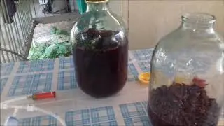 Настойка из изабеллы для дистилляции, полуфабрикат для виноградного самогона.