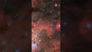 Exploring a Turbulent Tarantula 