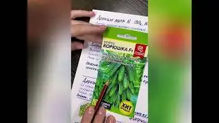 Болезни огурцов из-за дефицитов питания: азот, калий, фосфор, кальций, магний. Как определить?