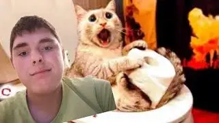 Смотрю смешные видео в Tiktok