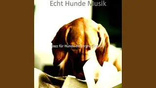 Gefuhle (Attraktiv Hunde)