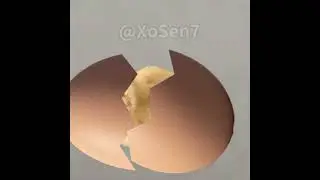 BANANA CAT 🍌🐱 BABY CARRIES EGGS AND EGGS HATCH CHICKS 