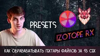 Делаем жизнь проще | Пресеты и Пакетная Обработка в IZotope RX 9 | Module Chain | Batch Processor