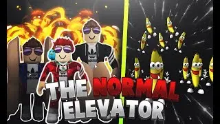 UN ELEVADOR COMPLETAMENTE "NORMAL" | Roblox | The Normal Elevator | ft. M4T1 280 & Wolf 131