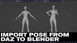 DAZ TO BLENDER: IMPORT POSE CORRECTLY