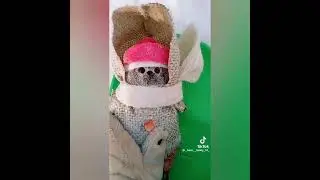 зимнее видео с басиками из тик тока 
