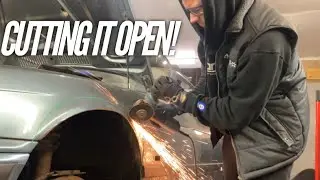 NO GOING BACK NOW!