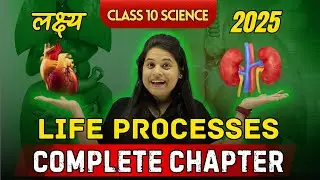 Life Processes | Chapter 5 | Complete Chapter | 