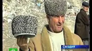 Кавказские папахи