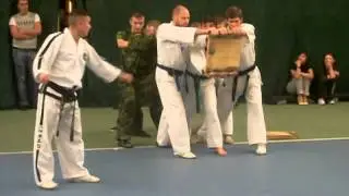 Показательные выступления  по таэквондо