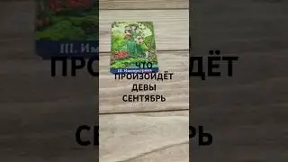 #ДЕВЫ #СЕНТЯБРЬ ВАЖНЫЕ СОБЫТИЯ ТАРО-ПРОГНОЗ 💕🥰💖 #гаданиенабудущее #таро