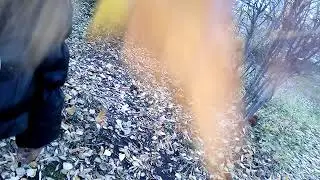 Весна взрыв листьями snezhana kors