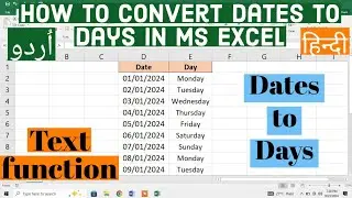 How to Convert Dates to Days in Ms Excel | Convert Dates to Days in Ms Excel