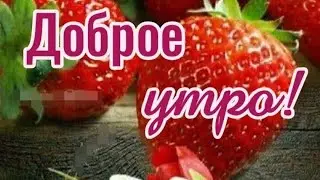 С Добрым Утром