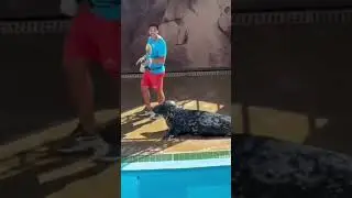 #shorts