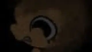 Shelly’s sad story (thanksgiving special)