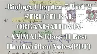 Biology Chapter-7 Part-2 STRUCTURAL ORGANISATION IN ANIMALS Class-11 Handwritten Notes(PDF) NCERT