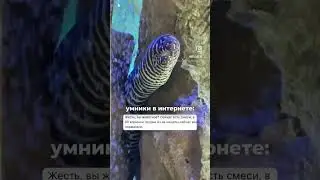 СКОЛЬКО МОЖНО?! #гв #кормление #вдекрете #жиза #кормлениегрудью #несмешно #послеродов