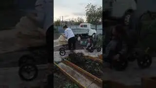 принимайте нового члена семьи !