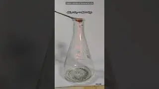 Oxidation of Ammonia ( Firefly experiment )