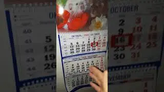 Алла Транс проважает высакосный год