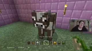 MORE TULIP LOVE LOL - Minecraft (Chill & wholesome stream)