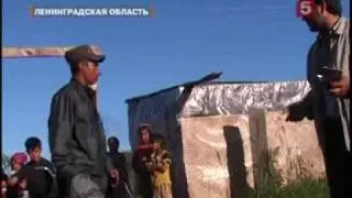ЦЫГАНСКИЙ ТАБОР ВЫГОНЯЮТ ИЗ ПОСЕЛКА