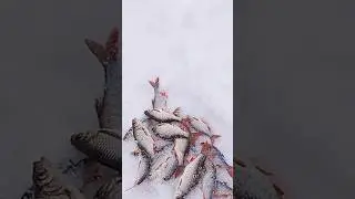 Примета рыбака.