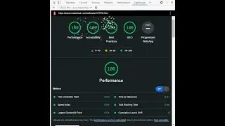 Google Pagespeed Lighthouse Performance Score 100 Example