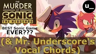 The Murder of Sonic The Hedgehog [99% Playthrough]