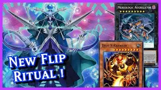 They Made Prediction Princess GOOD ?! Prediction Princess Deck Profile 2022
