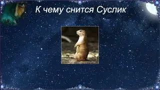 К чему снится Суслик (Сонник)