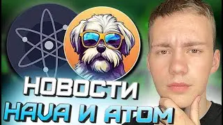 #НОВОСТИ МОНЕТА #HAVA СЖИГАНИЕ ТОКЕНОВ , МОНЕТА #ATOM AIRDROP СТЕЙКЕРАМ AST , Aaron NETWORK