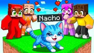 I Pretended to be a BABY CAT in ONE CHUNK Minecraft!