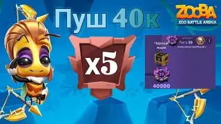 ВЕРНУЛСЯ В ZOOBA? | АПНУЛ 5 ГРОССМЕЙСТЕРОВ ЗА ВИДЕО! | ПУШ 40К КУБКОВ! | Zooba