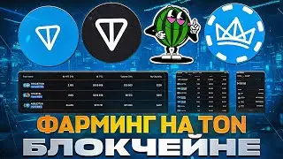 Как начать ЗАРАБАТЫВАТЬ на TON  с маленьким капиталом? Обзор StonFi и фарминг монет в сети Ton Coin