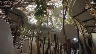 Architecture Meets Nature at SFER IK in Tulum