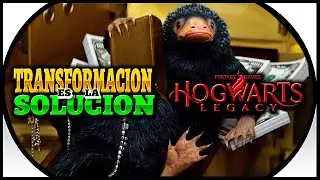 TRANSFORMACIÓN es la SOLUCIÓN  ///   HOGWARS LEGACY cap.11