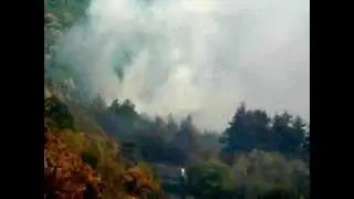 ПОЖАР ПЛАМНА ОТНОВО ДО БЕЛОГРАДЧИК