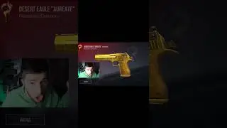 NAVI ТРЕНЕР полюбил дигл