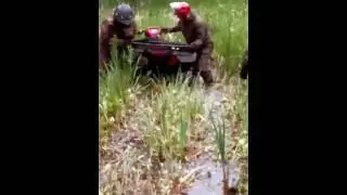 Ковровое
