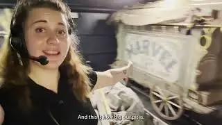 Follow Me on Icon ׀ Episode 2 with Erin Margret Brown ׀ Experience Icon of the Seas with our Crew